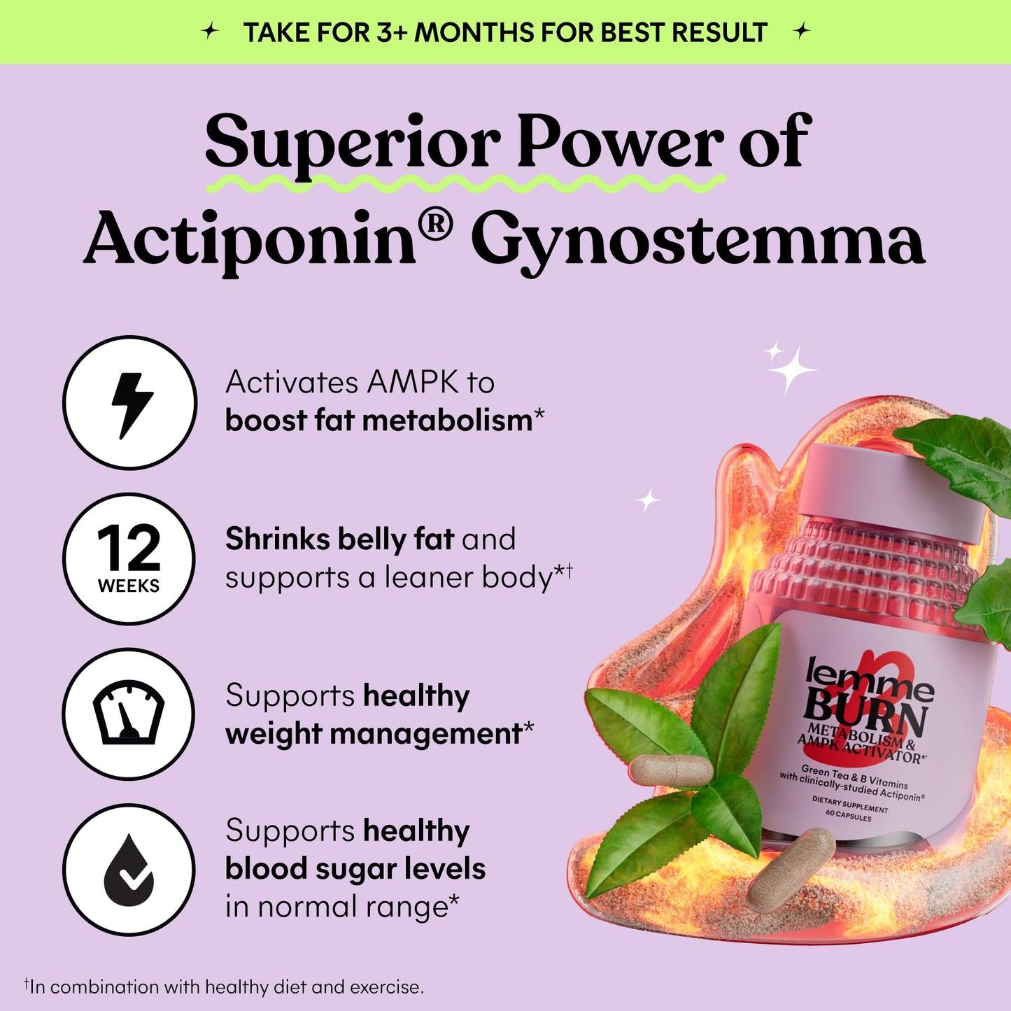 Lemme Burn - Metabolism, Belly Fat Burning + AMPK Activating Supplement for Men & Women w/Clinically Studied Actiponin Gynostemma, Green Tea Extract