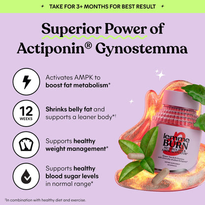 Lemme Burn - Metabolism, Belly Fat Burning + AMPK Activating Supplement for Men & Women w/Clinically Studied Actiponin Gynostemma, Green Tea Extract