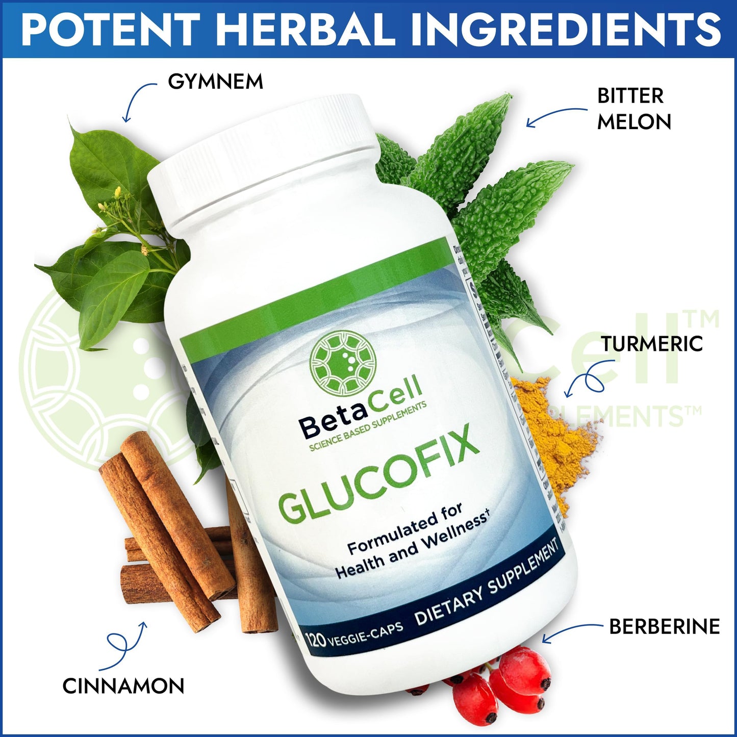 BETACELL Glucofix - Supplement - Herbal Supplement with Cinnamon, Gymnema, , Bitter Melon, and Turmeric - 120 Capsules
