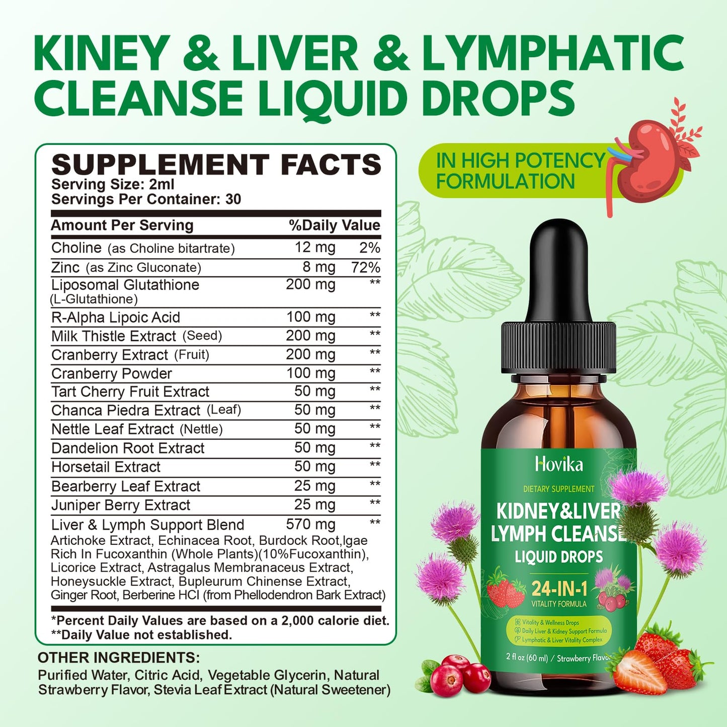 24-in-1 Kidney & Liver, Lymph Cleanse Detox & Repair Drops, Three Immune Formula with Cranberry, Milk Thistle, Vegan Urinary Tract & Lymphatic Drainage
