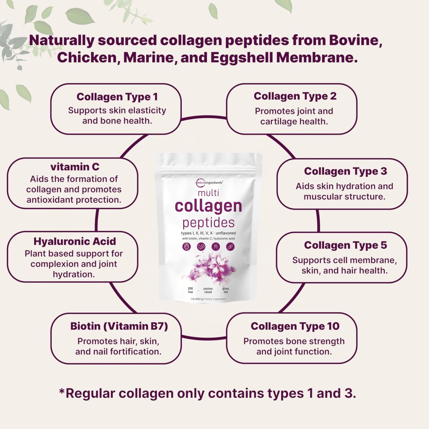 Micro Ingredients Multi Collagen Peptides Powder, 1lb – Hydrolyzed Type I,II,III,V,X with Biotin, Hyaluronic Acid, Vitamin C – Unflavored Collagen