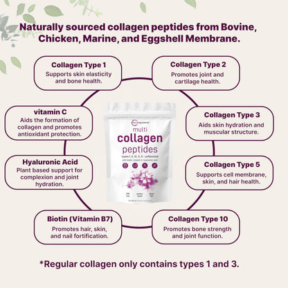 Micro Ingredients Multi Collagen Peptides Powder, 1lb – Hydrolyzed Type I,II,III,V,X with Biotin, Hyaluronic Acid, Vitamin C – Unflavored Collagen