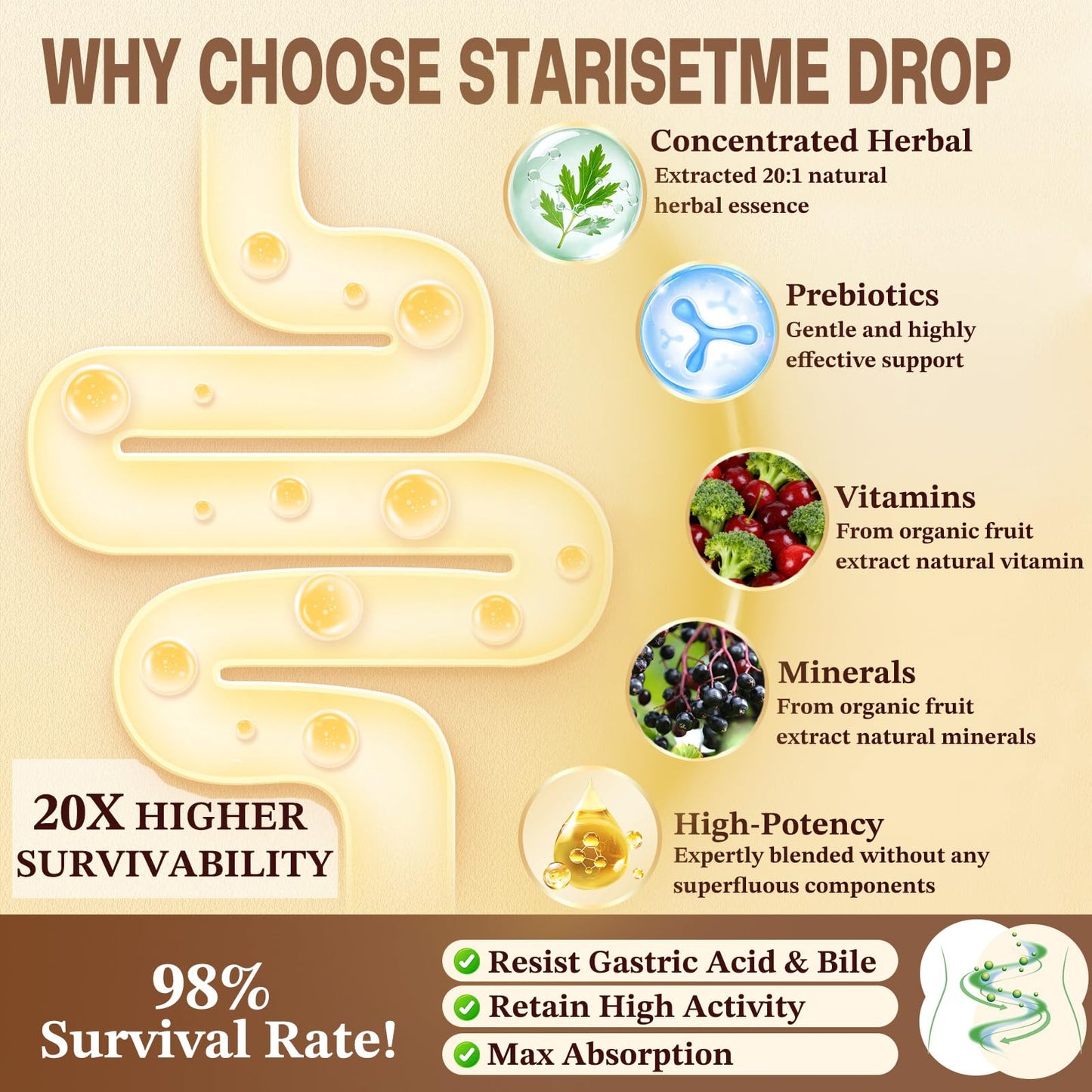 Starisetme Wormwood Black Walnut Cleanse for Humans Tincture – Max Strength Gut Health Prebiotics w/Clove, Soursop,Pumpkin Seed, Plus Vitamins, Minerals for Immune & Mood