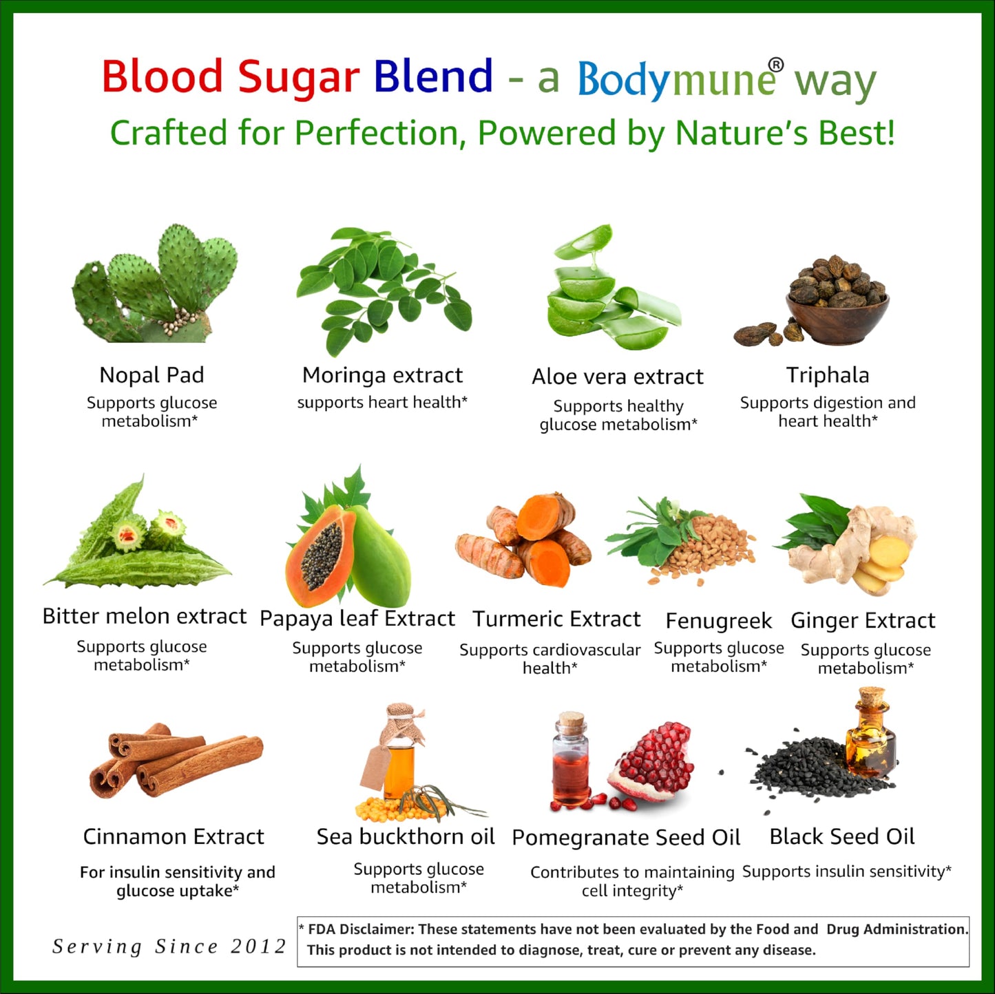 Bodymune Blood Sugar Blend – Organic Blood Sugar Support Supplement – with Bitter Melon Capsules, Moringa, & Black Seed Oil – 33 Capsules