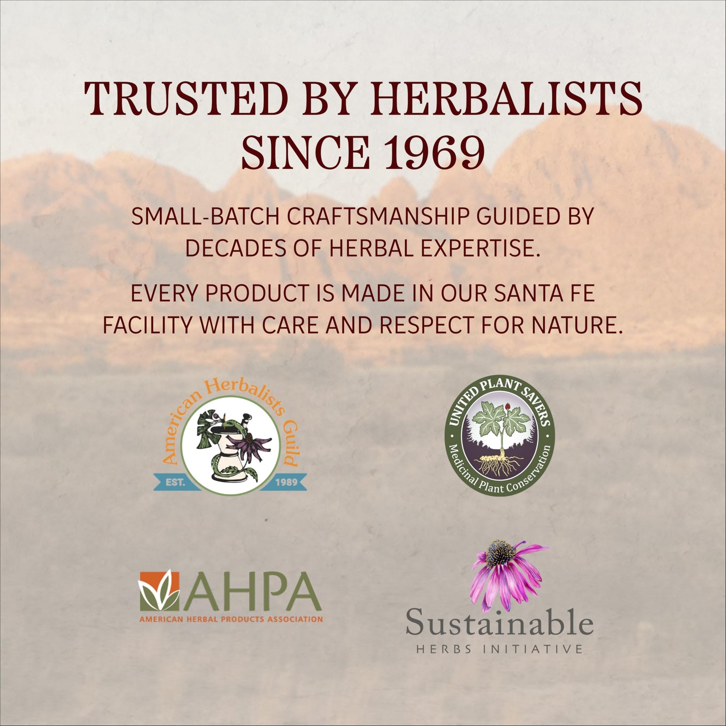 Herbs Etc. ChlorOxygen Chlorophyll Concentrate Softgels - High-Potency Chlorophyll for Detoxification Support - Deodorizing - Skin, Gut