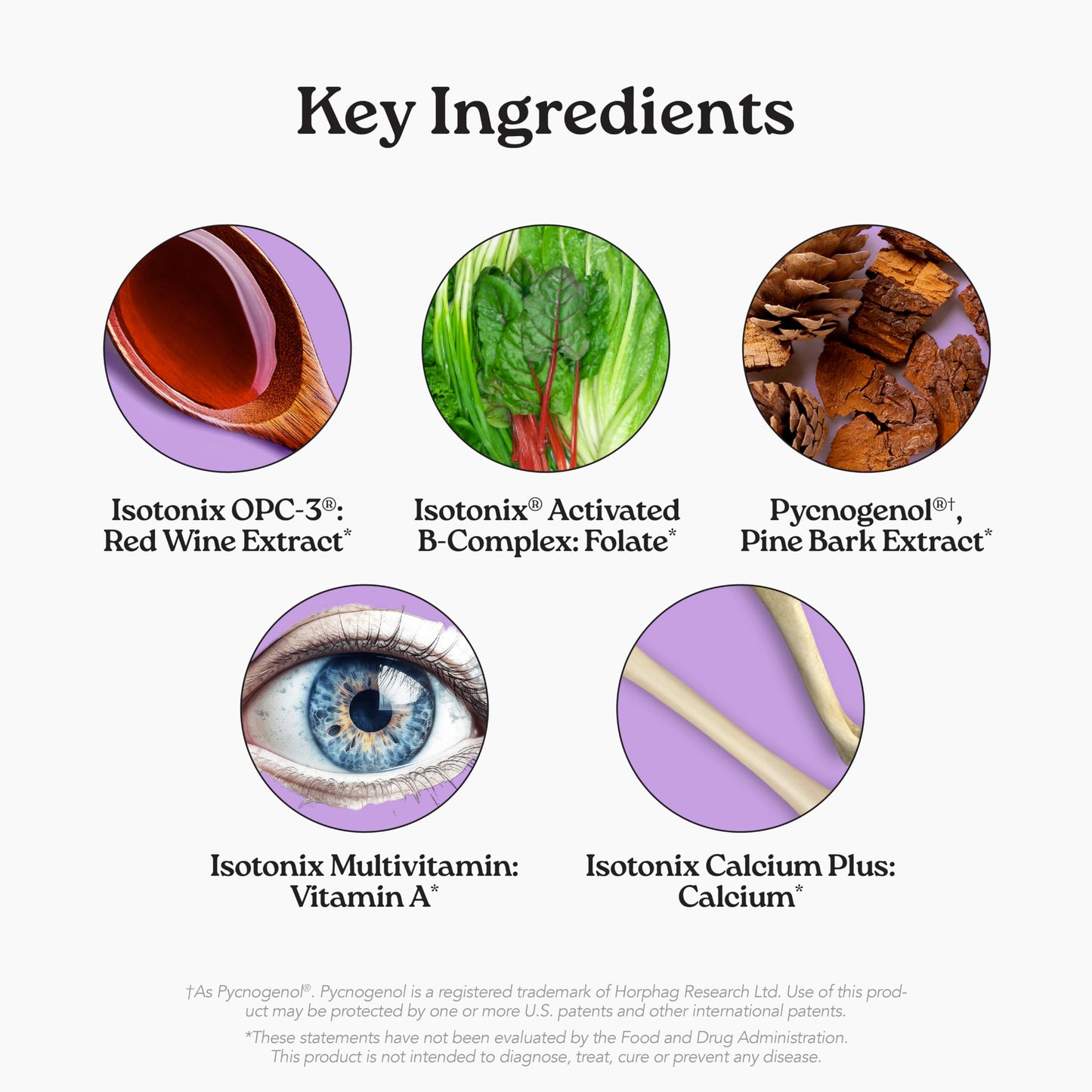 Isotonix® Daily Essentials Multivitamin Powder Packets – 4-in-1 Formula with Multivitamin, Activated B-Complex, Calcium Plus & OPC-3 with Pycnogenol