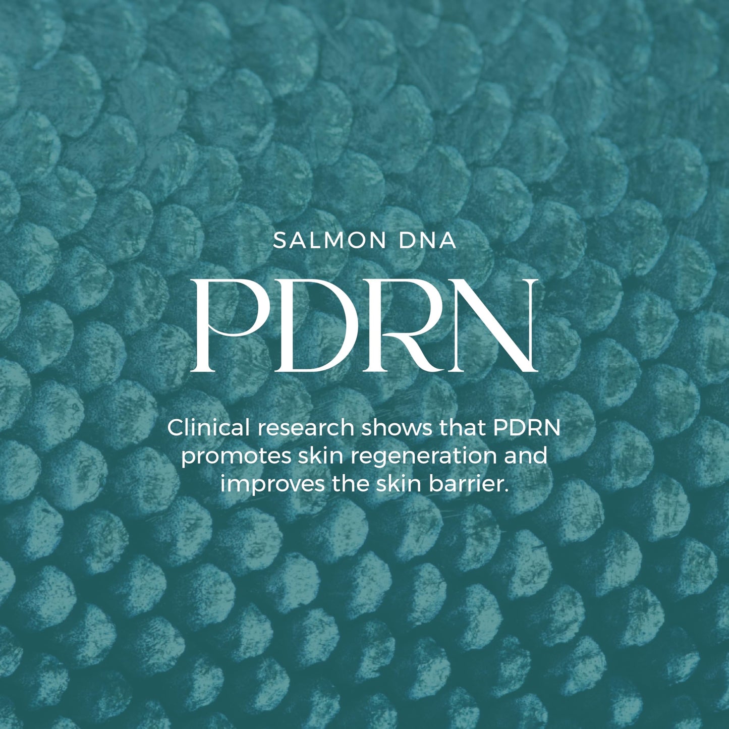 LumEnvy Salmon DNA Glass Skin Serum - Hydrating Korean Skincare Face Serum with PDRN, Niacinamide & Centella Asiatica | Brightening,
