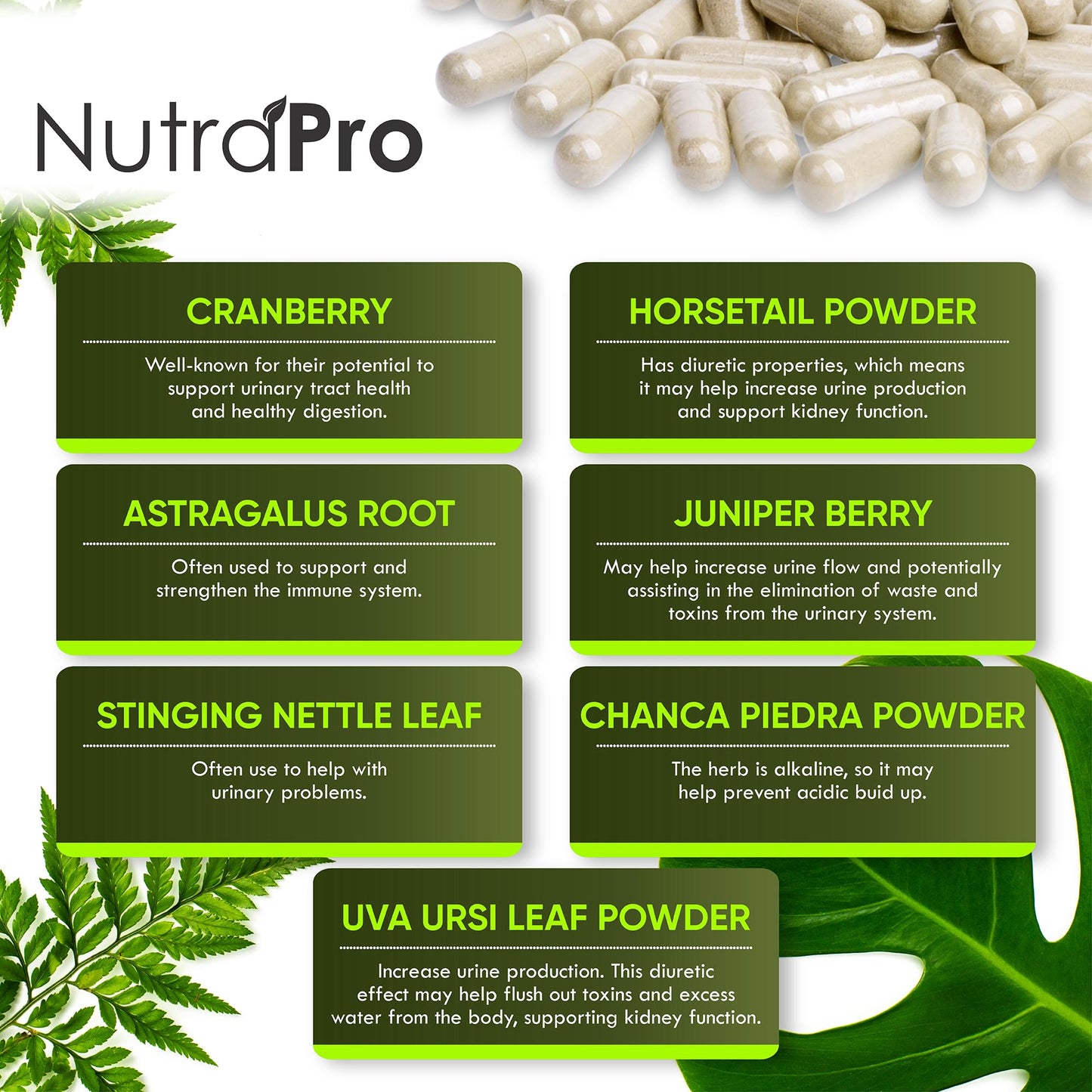 NutraPro Kidney Cleanse Detox & Repair and Bladder Support- Kidney Support Supplement for Kidney Restore with Chanca Piedra,Cranberry, Juniper Berries