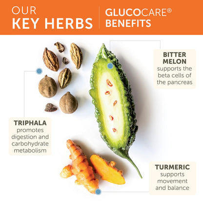 Himalaya GlucoCare – Herbal Glucose Metabolism & Pancreatic Support with Bitter Melon, Gymnema, Triphala & Turmeric – Natural Blood Sugar Support