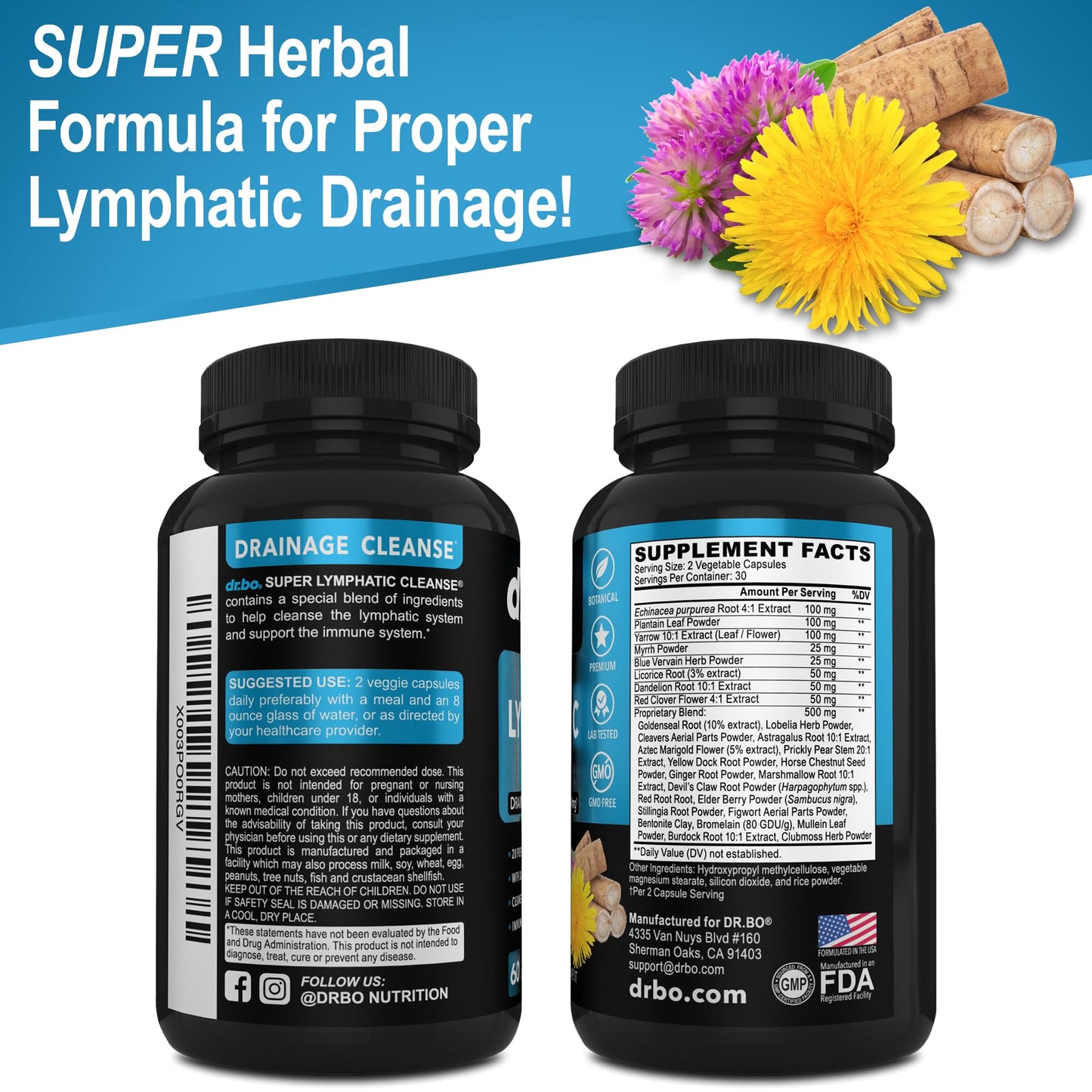 Lymphatic Drainage Supplements Pills - Lymphatic Support Total Herbal Cleanse Products Echinacea, Ginger, Dandelion, Red Root & Red Clover Supplement