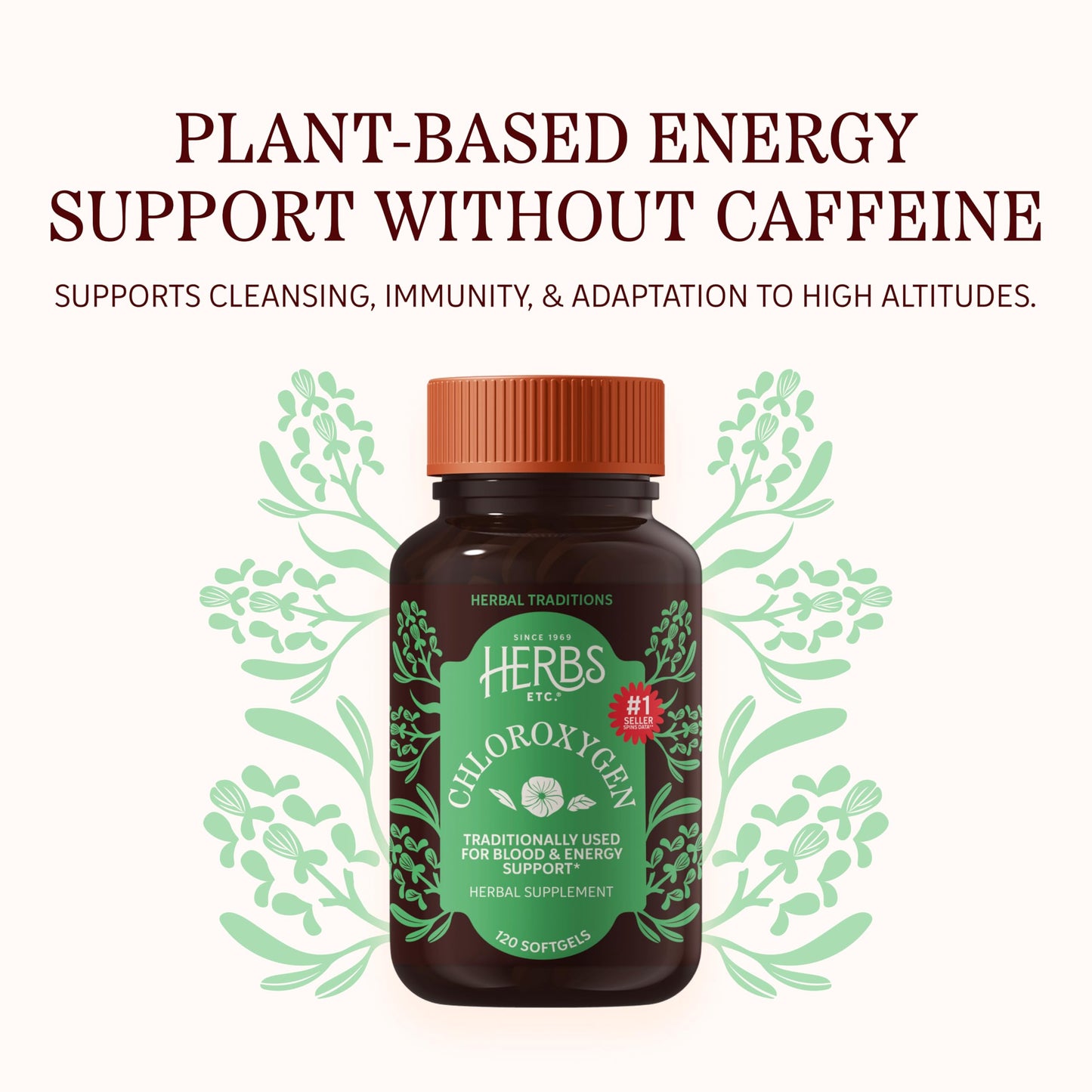 Herbs Etc. ChlorOxygen Chlorophyll Concentrate Softgels - High-Potency Chlorophyll for Detoxification Support - Deodorizing - Skin, Gut