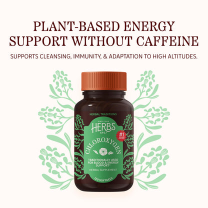 Herbs Etc. ChlorOxygen Chlorophyll Concentrate Softgels - High-Potency Chlorophyll for Detoxification Support - Deodorizing - Skin, Gut
