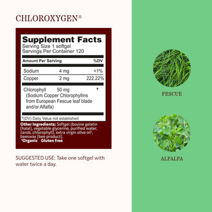 Herbs Etc. ChlorOxygen Chlorophyll Concentrate Softgels - High-Potency Chlorophyll for Detoxification Support - Deodorizing - Skin, Gut