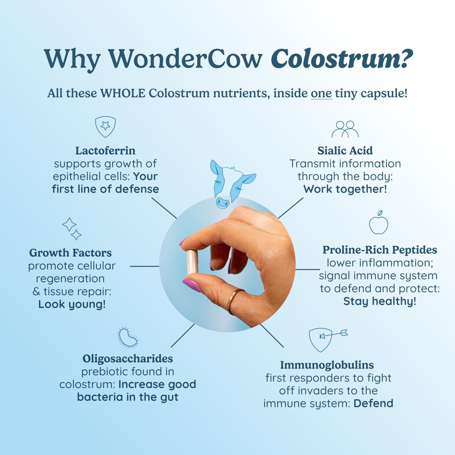WONDERCOW Colostrum Capsules Supplement for Gut Health, Immune Support & Wellness | Natural IgG Pure Whole Bovine