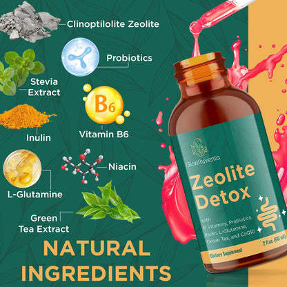 Glorithiventa Zeolite Detox for Adults, Zeolite Liquid Drops with Vitamin B, Probiotic Blend - Energy, Gut, Focus - 2 Fl Oz (1 Bottle)