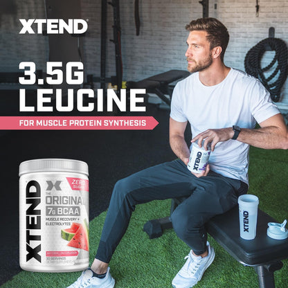 Xtend Original BCAA Powder, 7g BCAAs and 2.5g L-Glutamine for Muscle Recovery Hydration and Lean Muscle, Sugar Free Intra and Post Workout Drink with Electrolytes