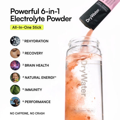 DryWater® Electrolyte + Vitamin Hydration Powder Packets – Mixed Berry, 1,000mg Potassium, Real Organic Fruit, NSF Certified for Sport,