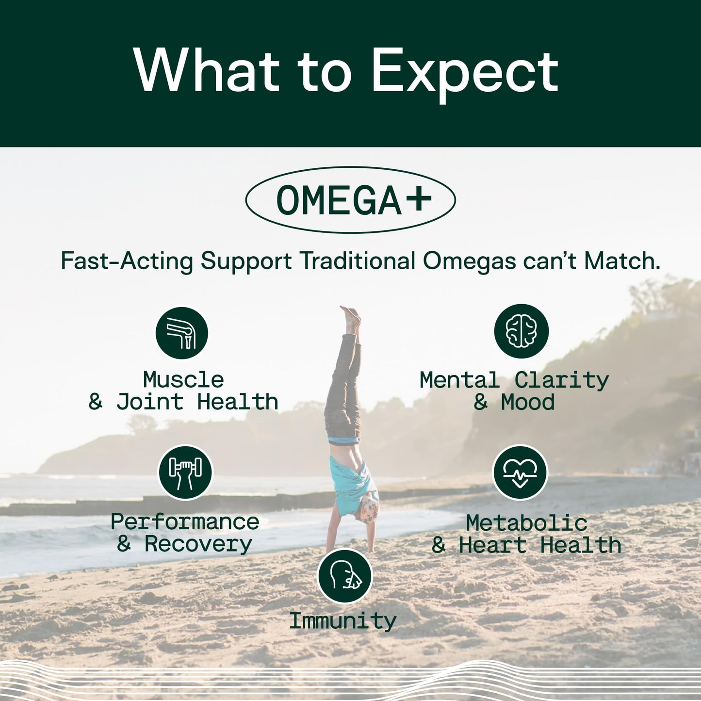 Adapt Naturals Omega 3 Fish Oil Supplement with Bioavailable Curcumin & Black Seed, 1500mg Fish Oil EPA DHA Omega 3 Fatty Acids to Support Joints, Muscles & Heart