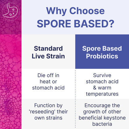 Microbiome Labs MegaSporeBiotic Probiotics for Women & Men - Spore-Based Probiotic for Gut Health & Digestive Support - Shelf-Stable, Travel-Friendly,