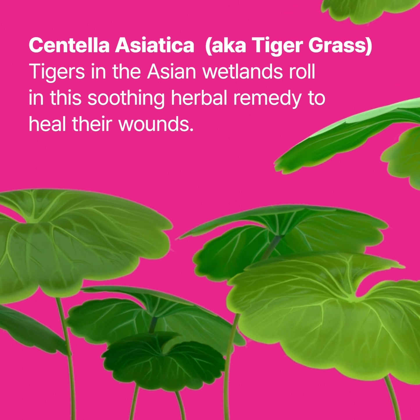 Dr.Jart+ Cicapair Tiger Grass Camo Drops Tinted Serum SPF 35 with Centella Asiatica | Skin Tint | Korean Skin Care Makeup Hybrid, 1.01 Fl Oz