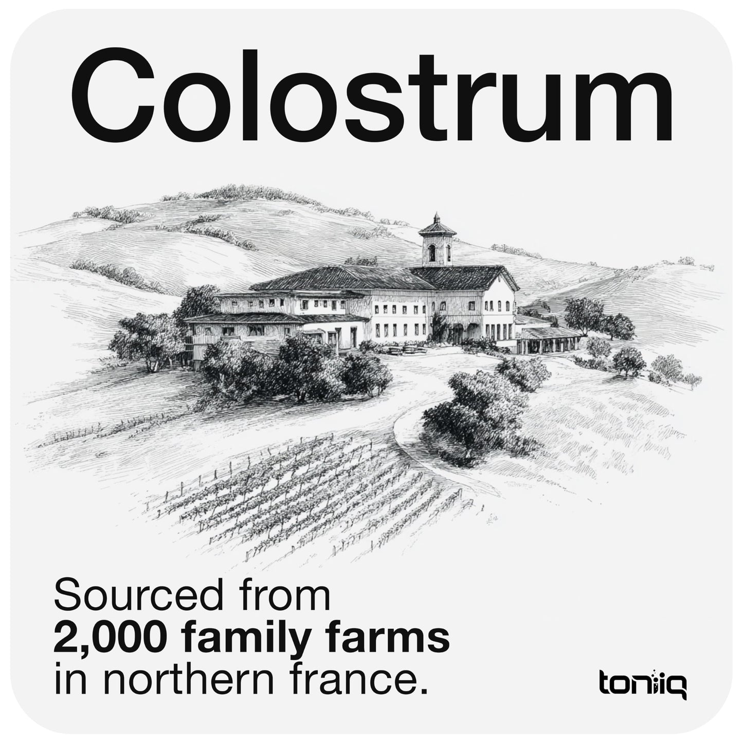 Toniiq Bovine Colostrum Powder Supplement 2000mg - 50% IgG for Gut Health, Immune Support & Skin - French Colostrum Farm-to-Jar Traceable