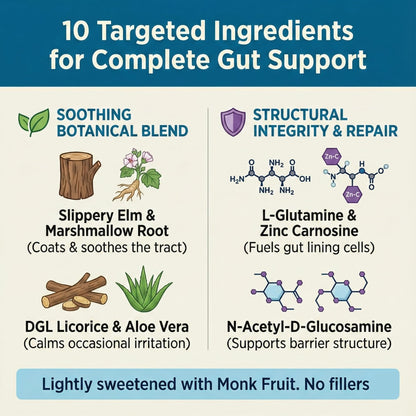Balance ONE L-Glutamine Powder & Zinc Carnosine Supplement – Leaky Gut Repair Formula with Slippery Elm, DGL Licorice, Marshmallow & Aloe Vera