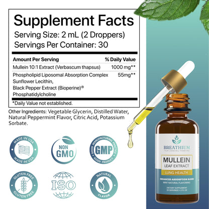 BREATHIUM 4-in-1 Mullein Drops for Lungs & Gut Health – Liposomal Mullein Leaf Extract, Made in USA, Natural Lung Detox for Smokers + Immune, Digestive