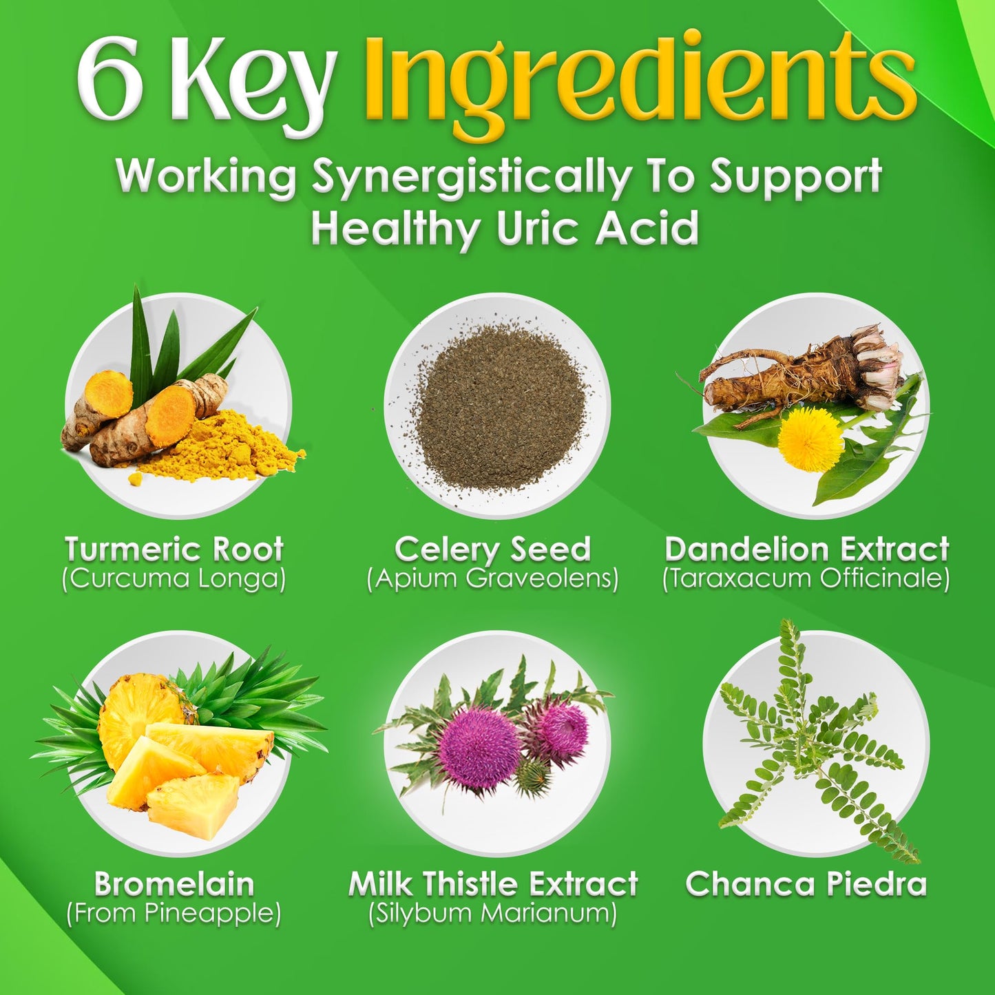 NutriGout Uric Acid Cleanse Supplement w/Turmeric, Celery Seed, Bromelain, Milk Thistle, Dandelion and Chanca Piedra,