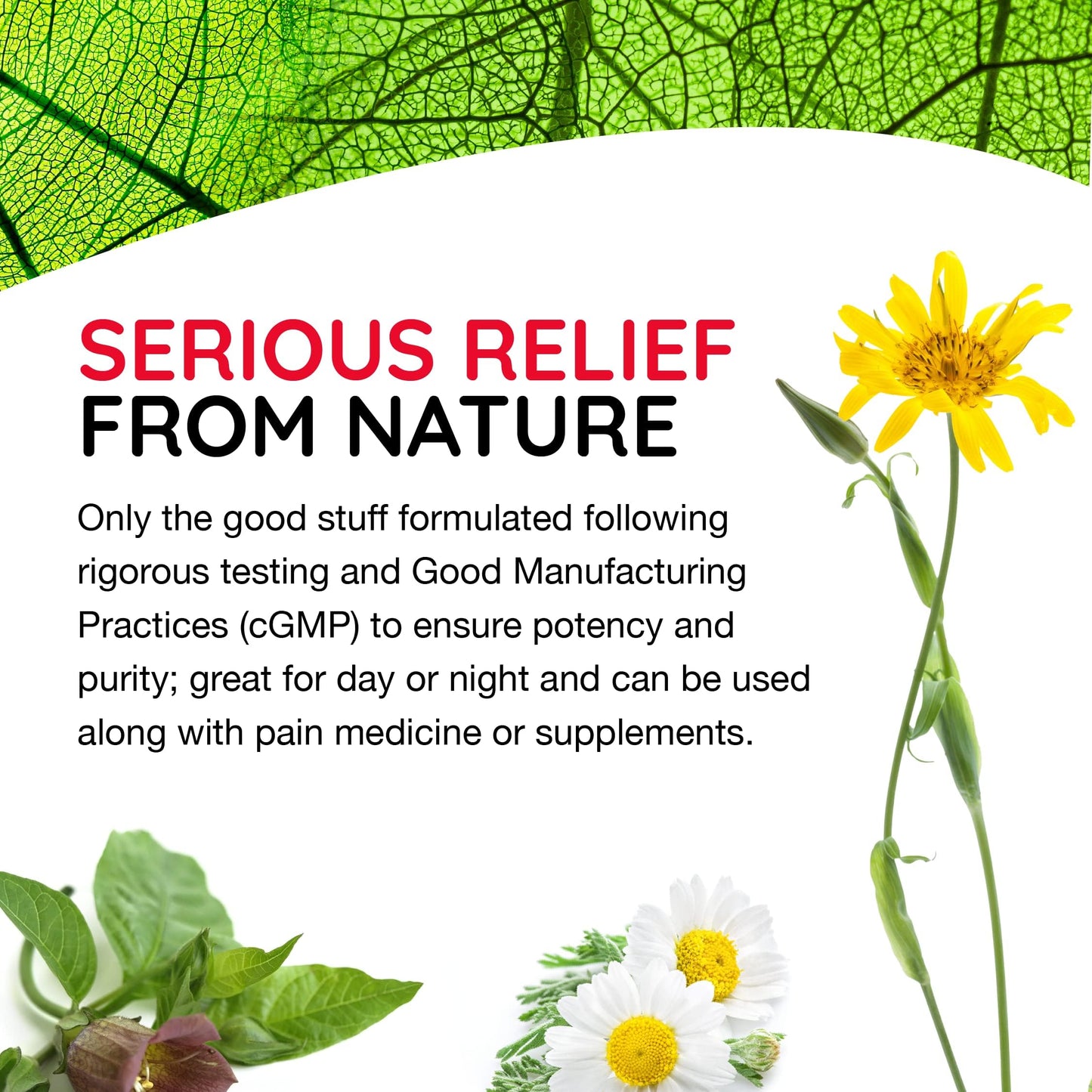 T-Relief Arnica +12 Cream Natural Actives for Back Pain Joint Soreness Muscle Aches & Stiffness, Whole Body Fast Acting Relief for Women & Men - 4 oz MediNaturaBuy Supplements Australia