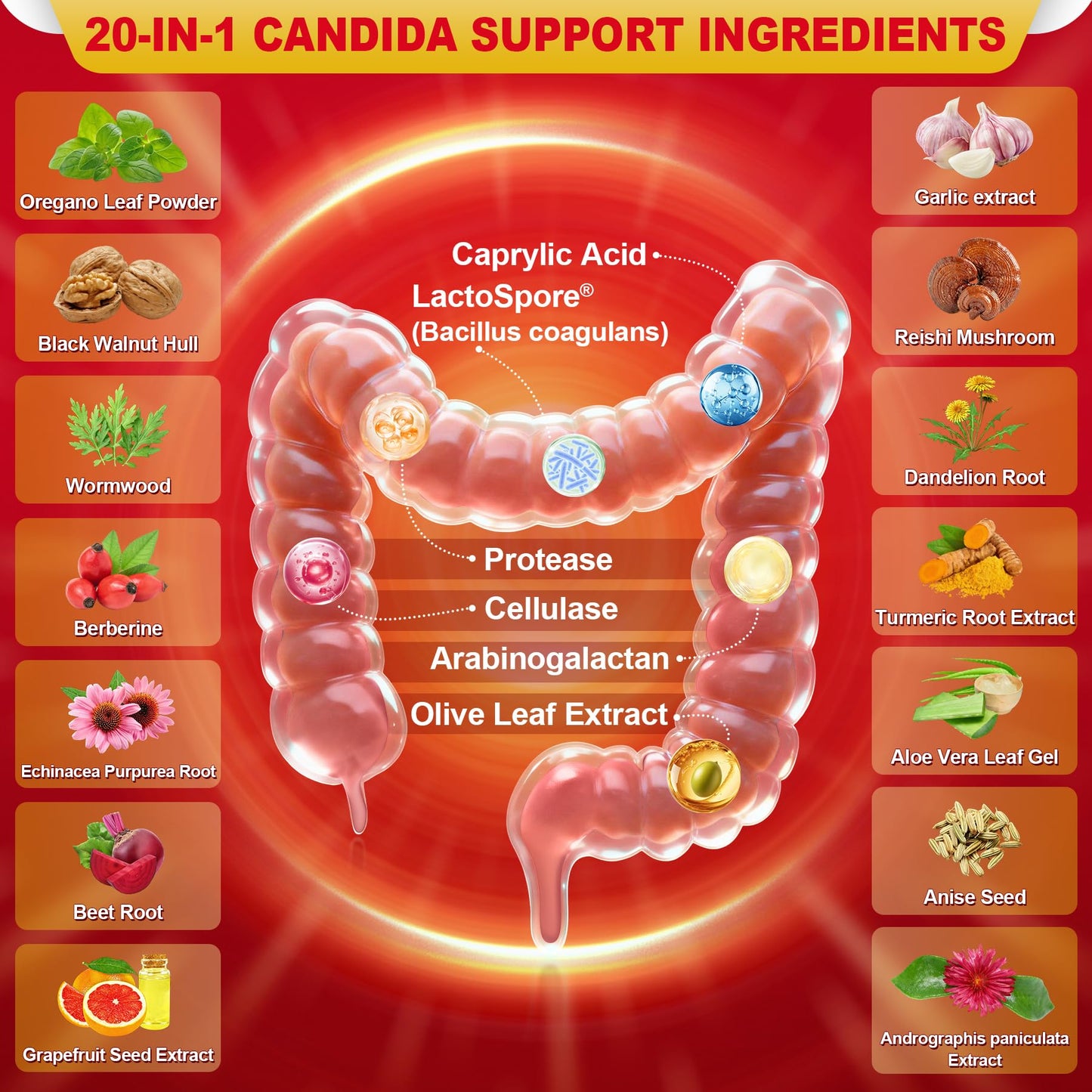 Liposomal Candida Cleanse Drops 2000mg - 20-in-1 Candida Detox for Women & Men with Caprylic Acid, Oregano, Black Walnut & Wormwood – Yeast Detox, Gut & Colon Support,