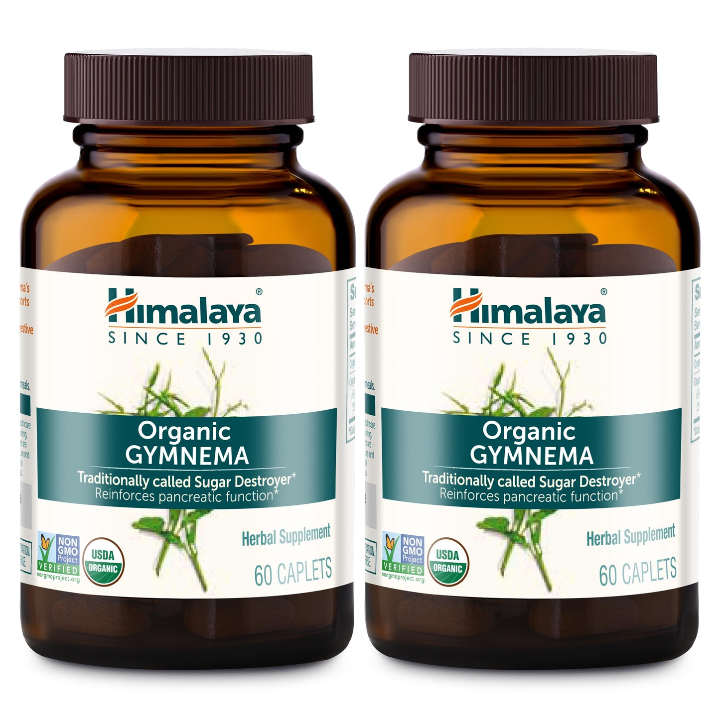 Himalaya USDA Organic Gymnema Sylvestre Extract 700mg,Gymnema Sylvestre Supplements,Herbal Glucose Metabolism Support,Gymnema Sylvestre Capsules,Non-GMO, Vegan