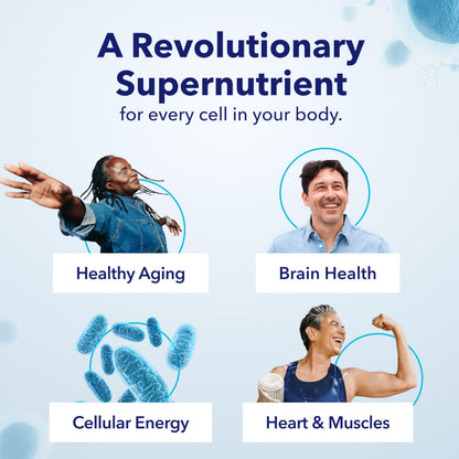 TRU NIAGEN Patented NAD Supplement for Brain Function, Anti Aging & Cell Regeneration, 300mg Niagen, 30 Servings | Supports Cellular Energy, Muscle | Nicotinamide Riboside (NR) Take 1 Daily | 1 Bottle TRU NIAGEN buy supplements Au