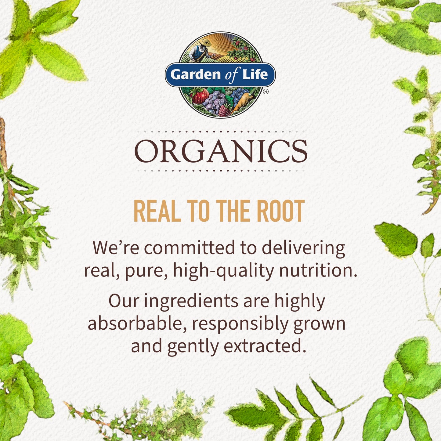 Garden of Life Organics Men's Gummy Vitamins - Berry - Certified Organic, Non-GMO, Vegan, Kosher Complete Multi - Methyl B12, C & D3 - Gluten