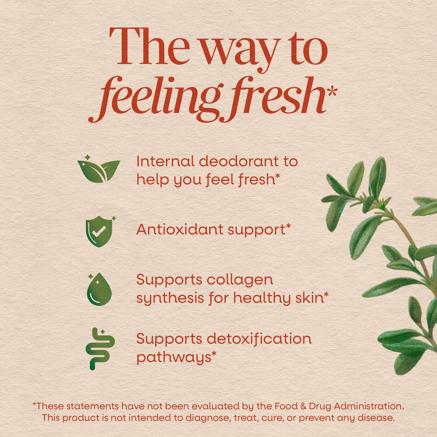 Nature's Way Chlorofresh Liquid Chlorophyll, Chlorophyllin Copper Complex, Internal Deodorant Supplement, Supports Healthy