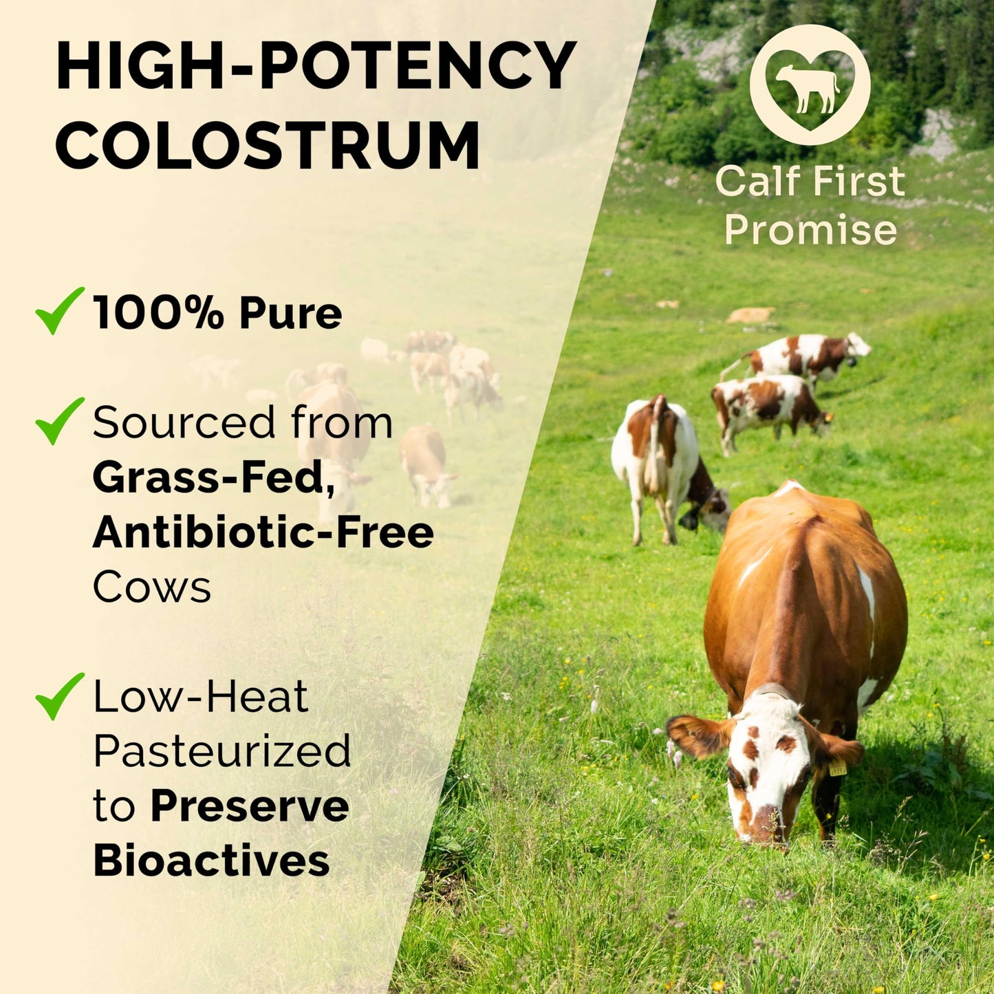 Premium Colostrum Supplement Highest IgG for Gut Health, Immune Support & Recovery Superfood, Anti-Age - Pure Grass-Fed Bovine Colostrum Powder