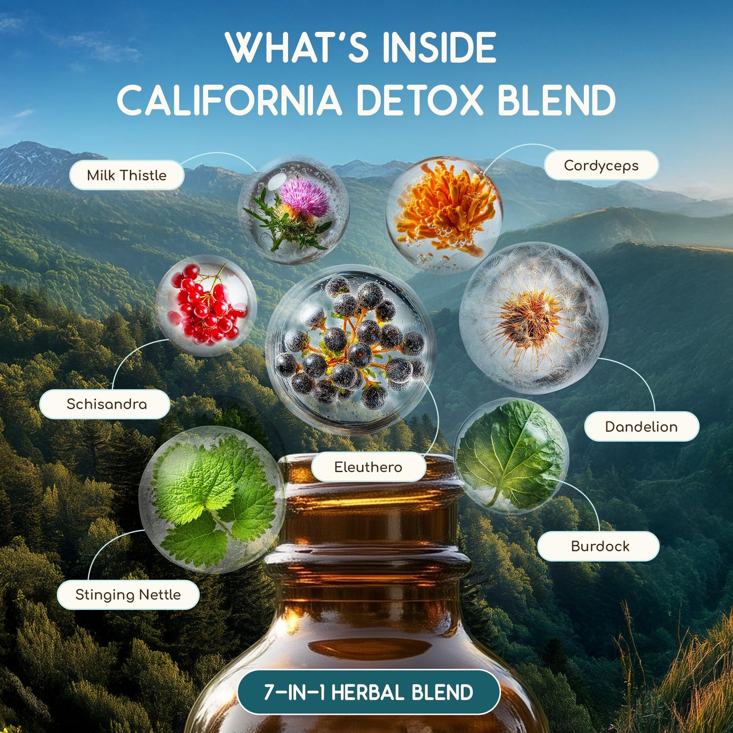 HerbEra California Herbal Detox Blend - USDA Organic Extract, Made in USA | Immune & Liver Support Liquid Drops | Burdock, Dandelion Root