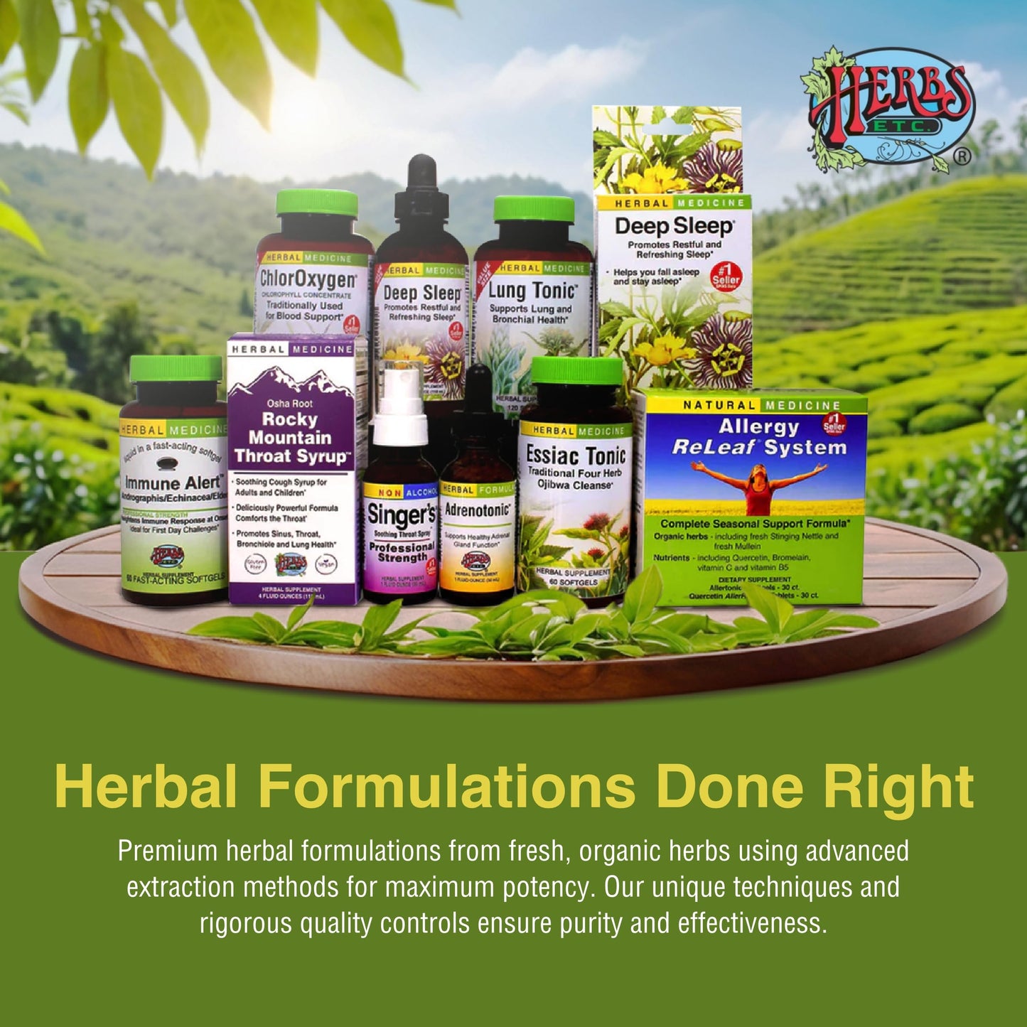 Herbs Etc. ChlorOxygen Chlorophyll Concentrate Softgels - High-Potency Chlorophyll for Detoxification Support - Deodorizing - Skin, Gut